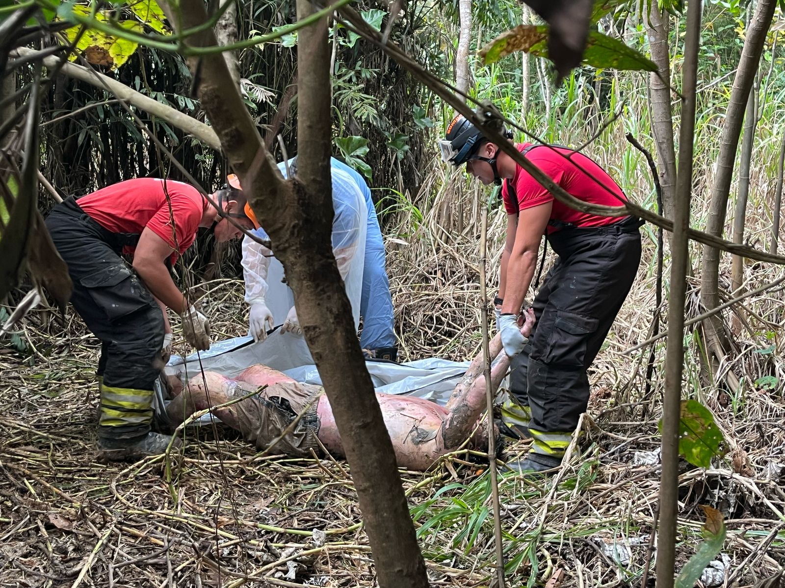 Foto: Jander Robson/Portal do Holanda