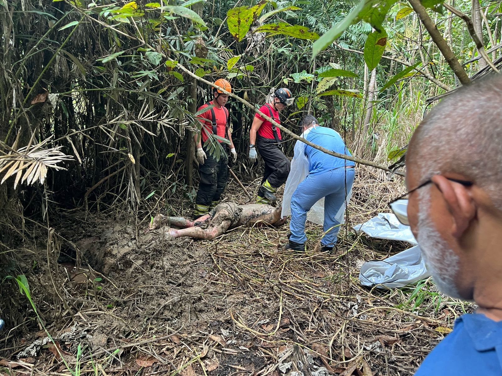 Foto: Jander Robson/Portal do Holanda