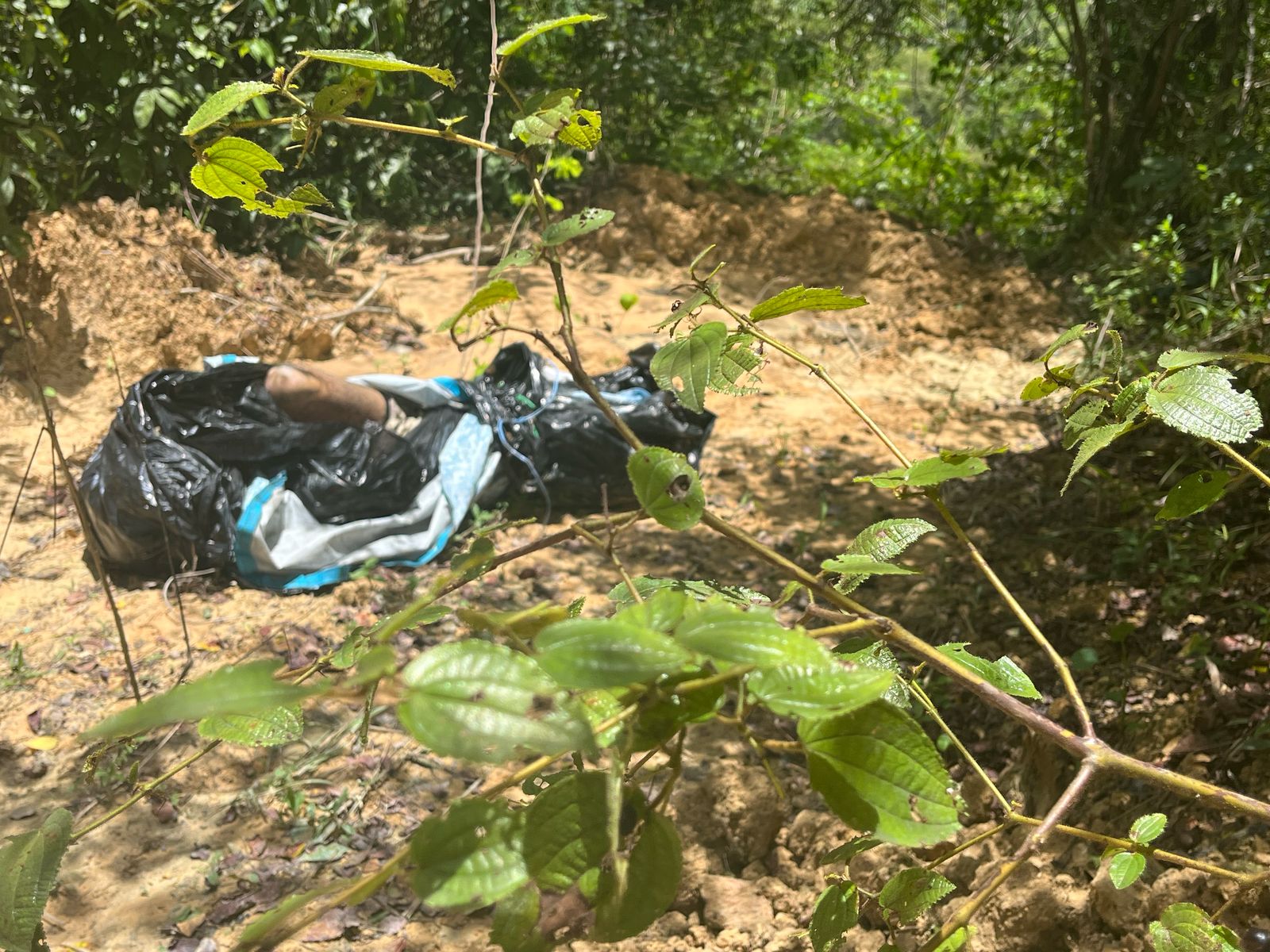 Foto: Jander Robson/Portal do Holanda