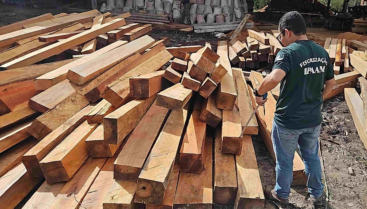 Foto: Divulgação/Ipaam