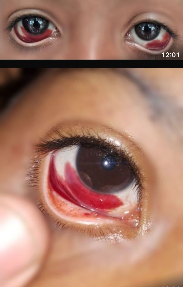 Foto: Divulgação / Polícia Civil