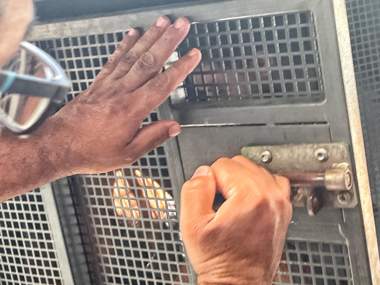 Foto: Portal do Holanda / Jander Robson