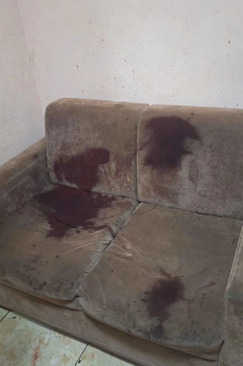 Foto: Reprodução/Instagram @alecampelo