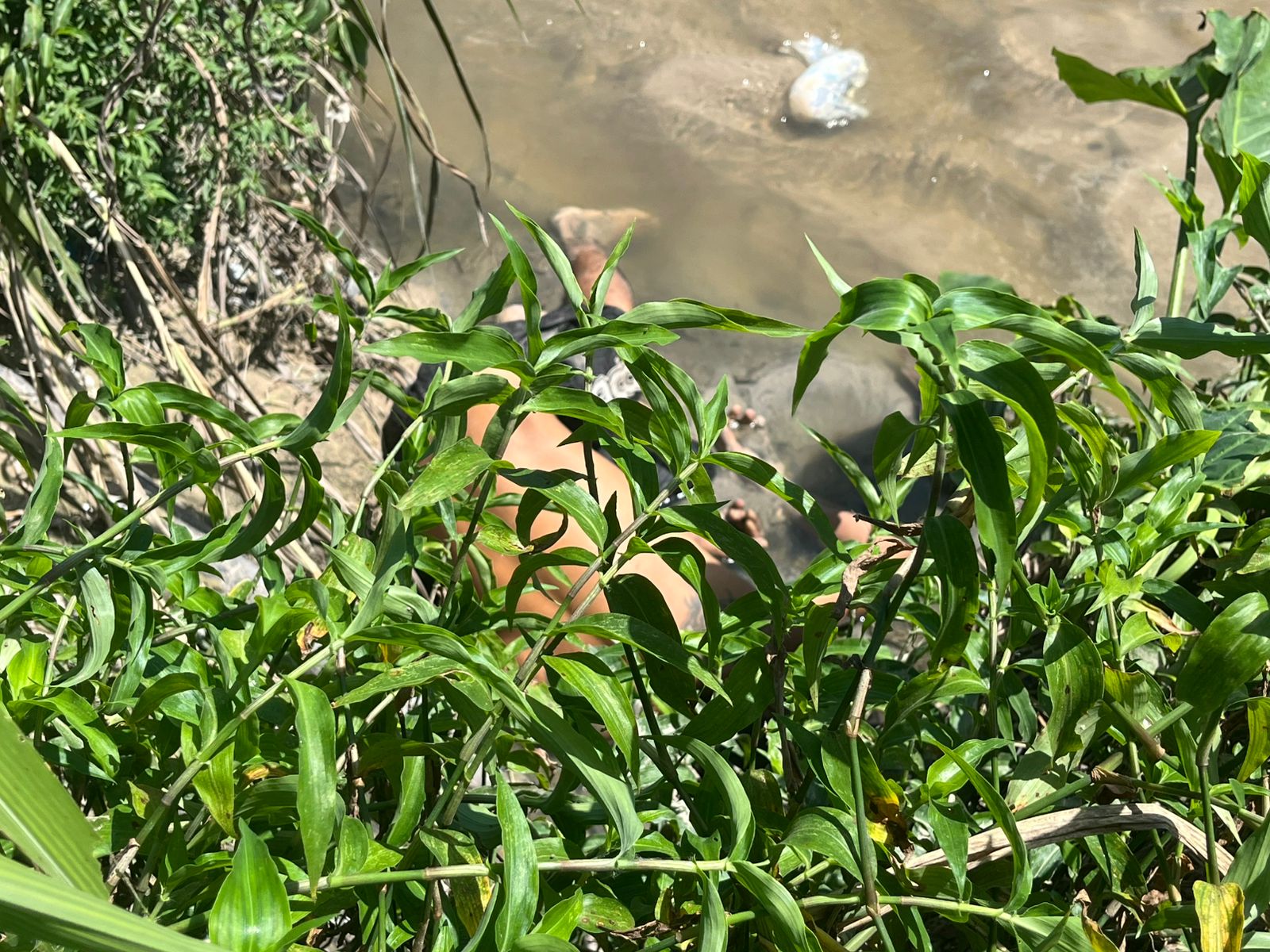 Foto: Jander Robson/Portal do Holanda