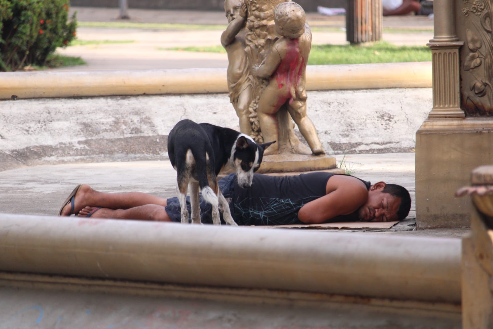 Foto: Ronaldo Siqueira / Portal do Holanda