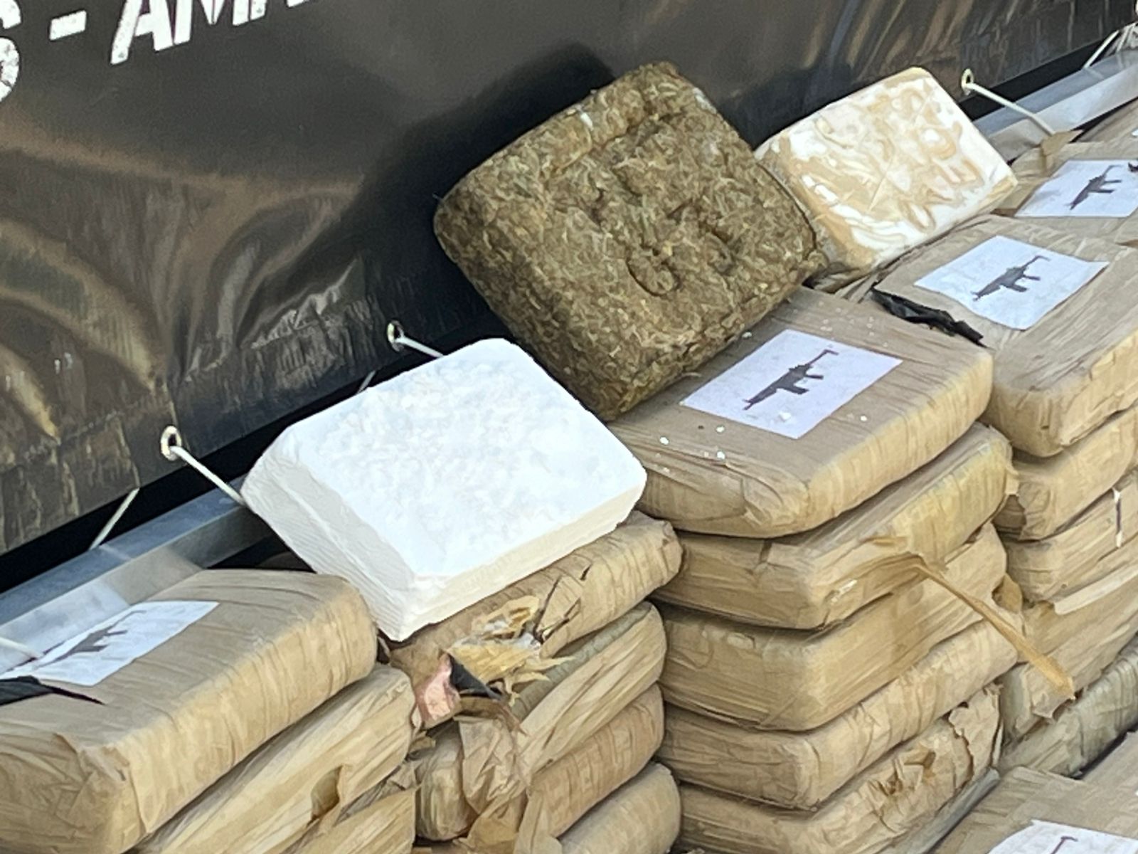 Foto: Jander Robson/ Portal do Holanda