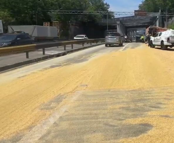 Foto: Jander Robson/Portal do Holanda