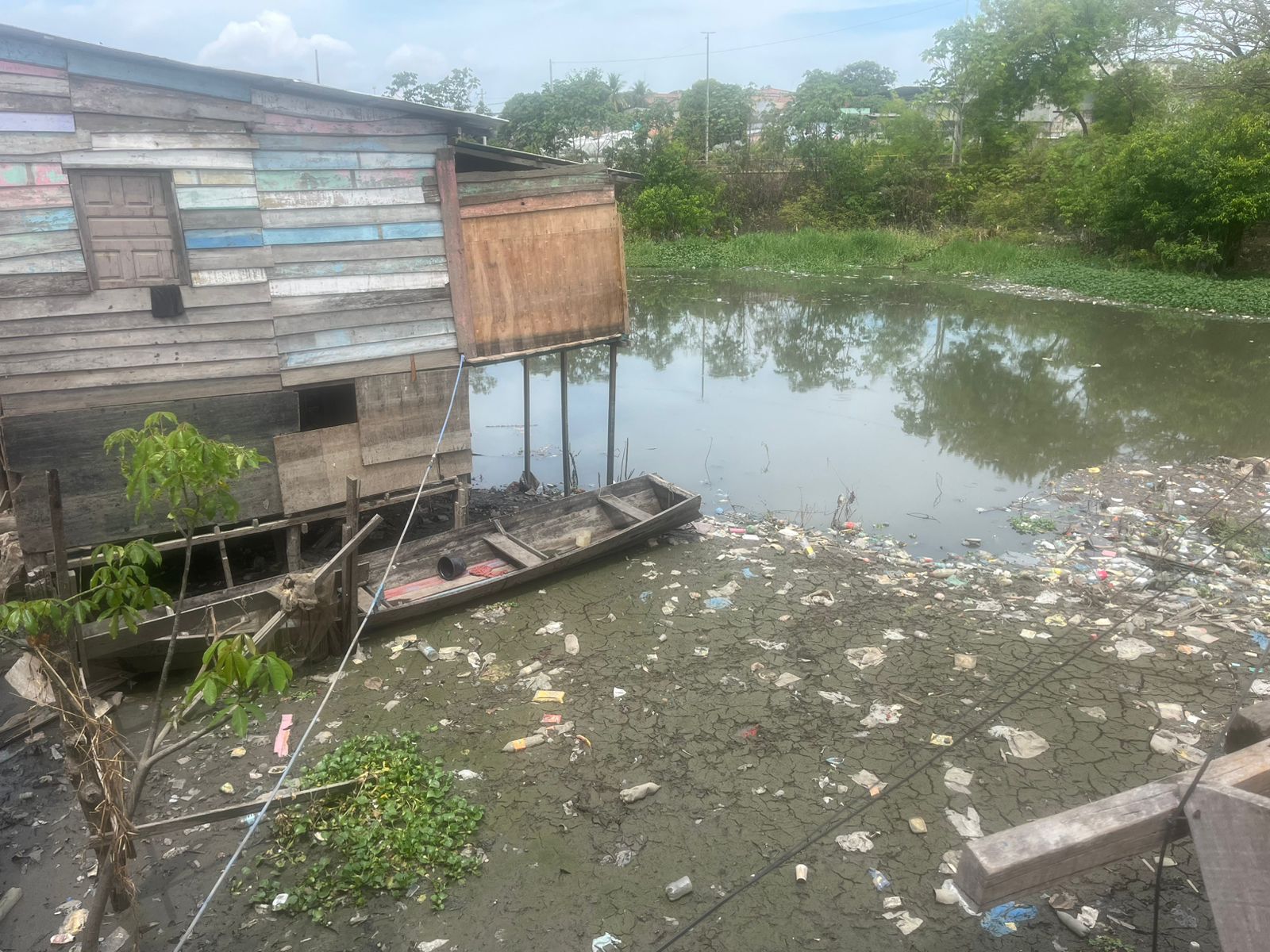 Foto: Jander Robson/Portal do Holanda