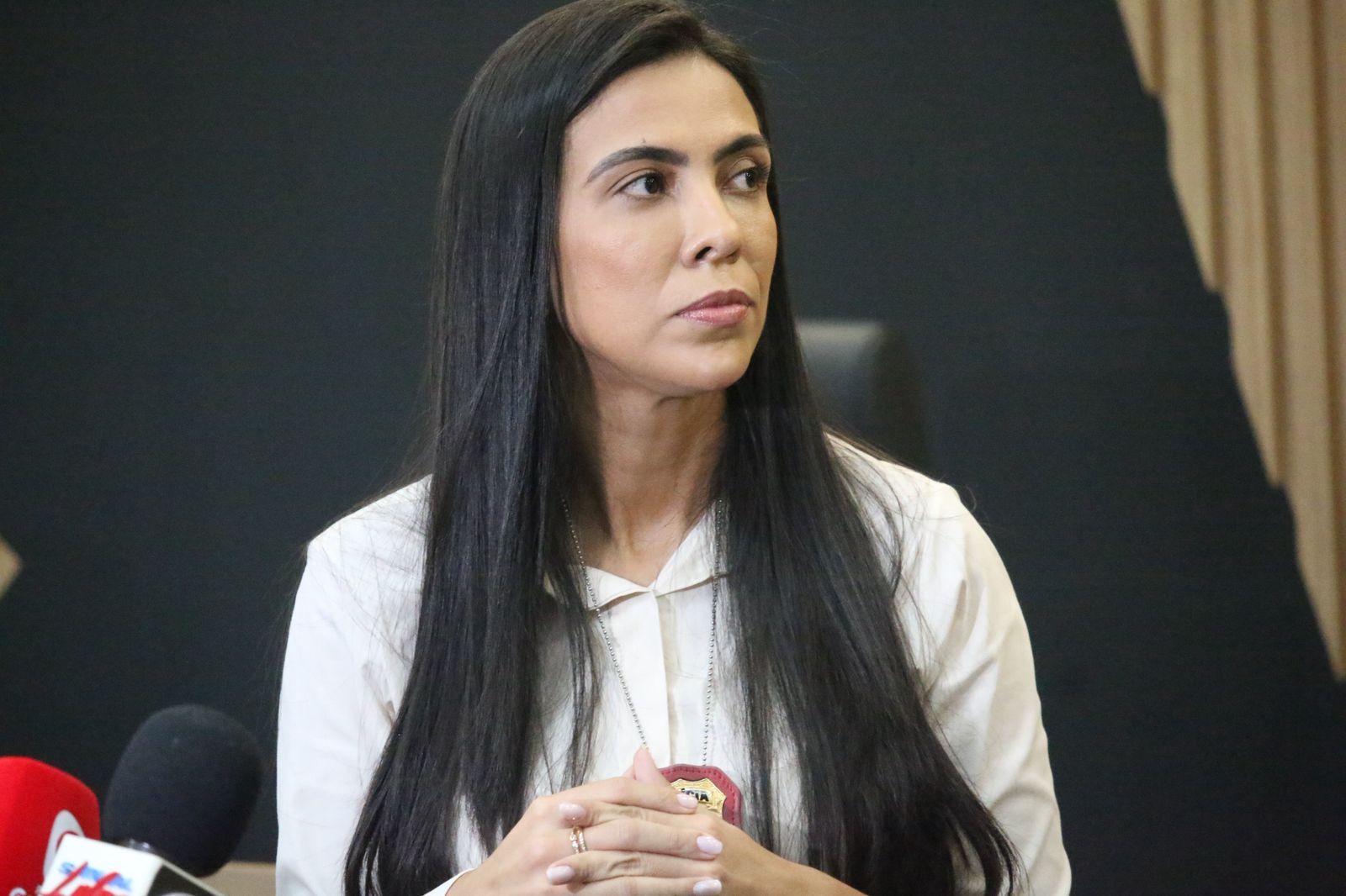 Delegada revela que vítima foi abusada mais de uma vez - Foto: Jander Robson/Portal do Holanda