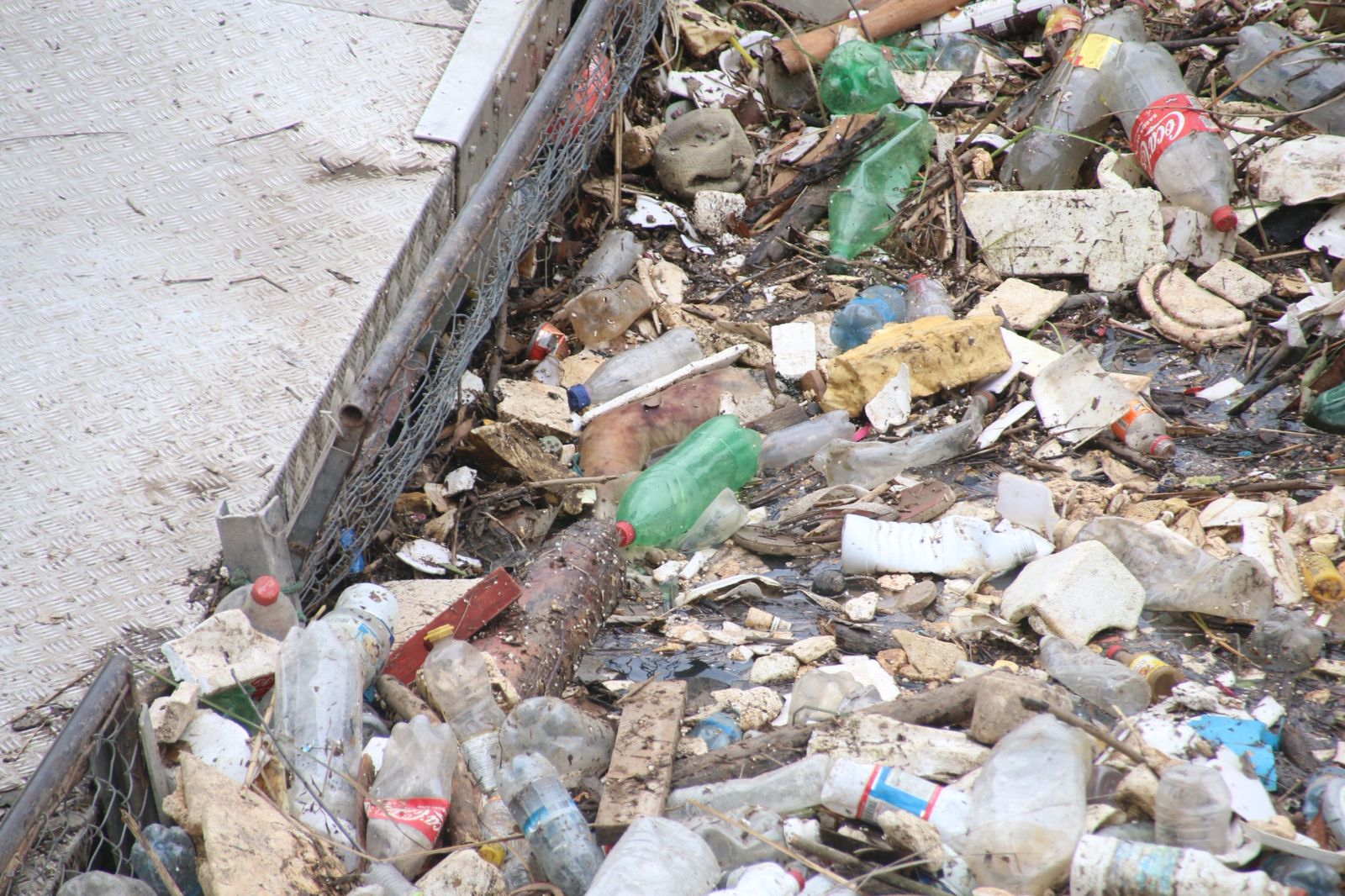 Braço humano é encontrado em meio ao lixo - Foto: Jander Robson/Portal do Holanda