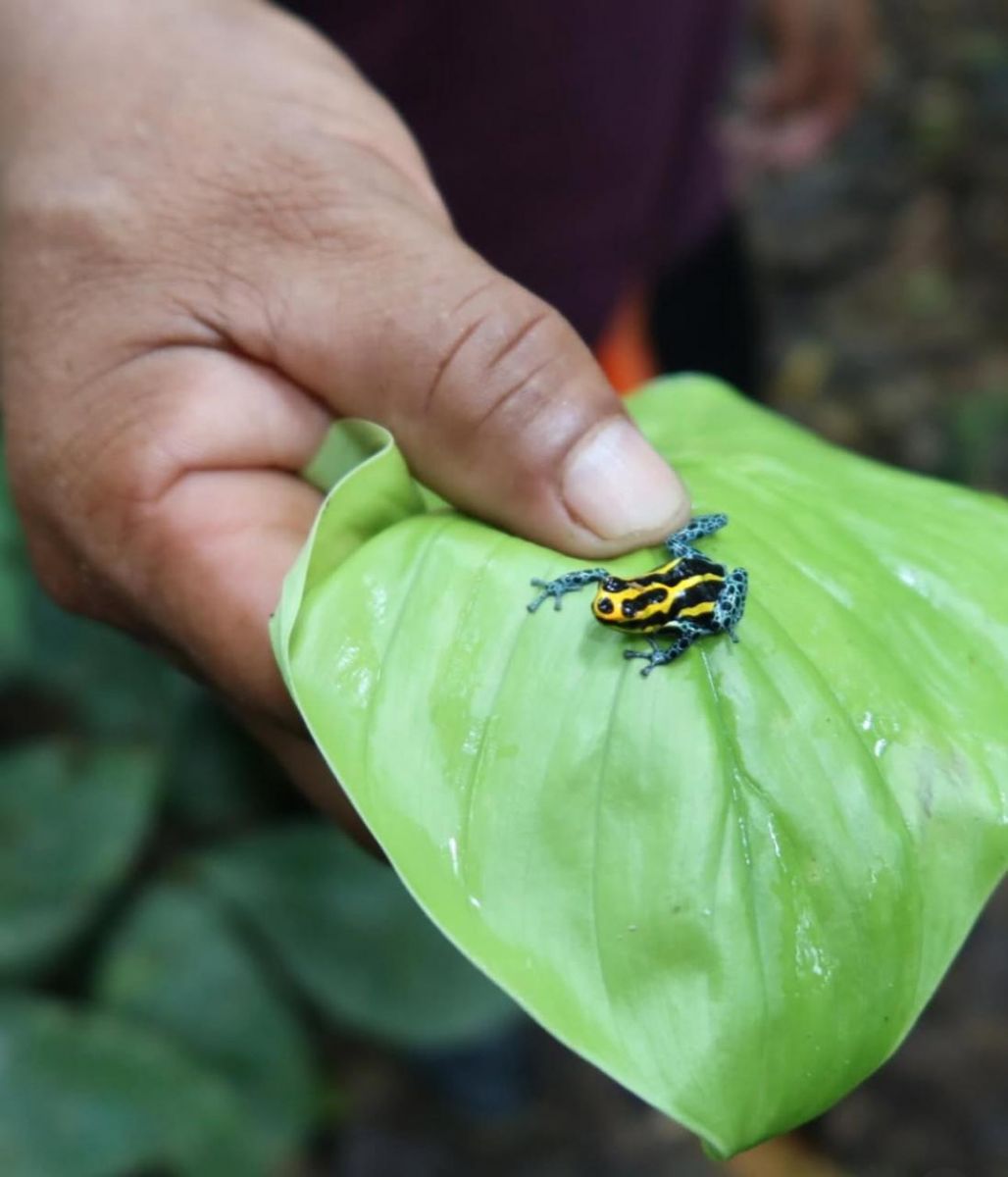 Foto: Reprodução Instagram