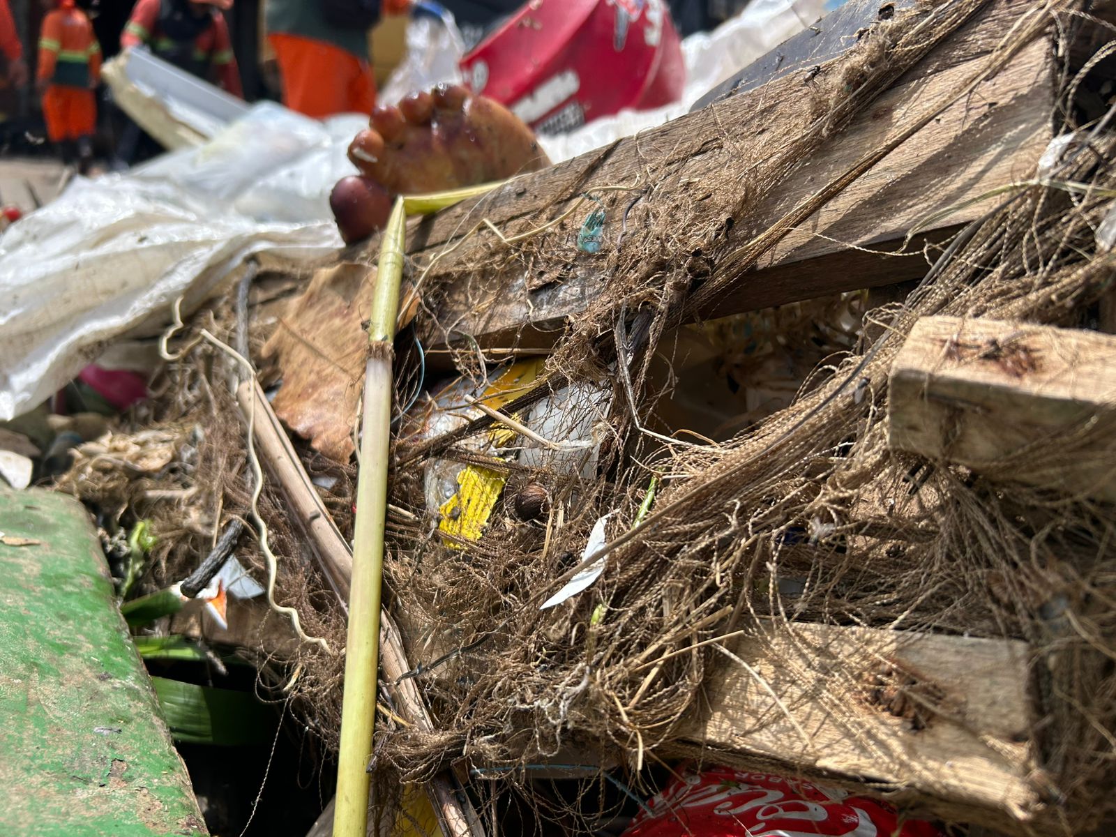 Perna estava em decomposição - Foto: Jander Robson/Portal do Holanda