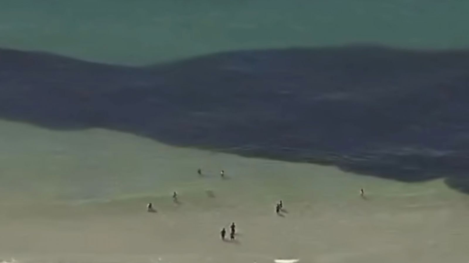 Banhistas foram surpreendidos por uma cena impressionante na manhã desta sexta-feira (26), na Praia do Leme, Zona Sul do Rio de Janeiro. Reprodução: GloboNews