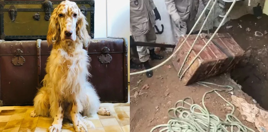 Baú onde corpo foi encontrado foi retirado da casa do ator. 