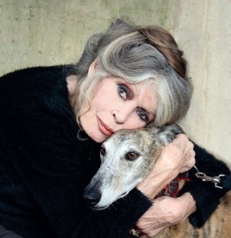 Foto: Reprodução/Instagram @fondationbrigittebardot