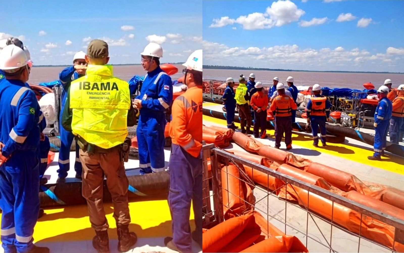 Foto: Divulgação Ibama do Amazonas