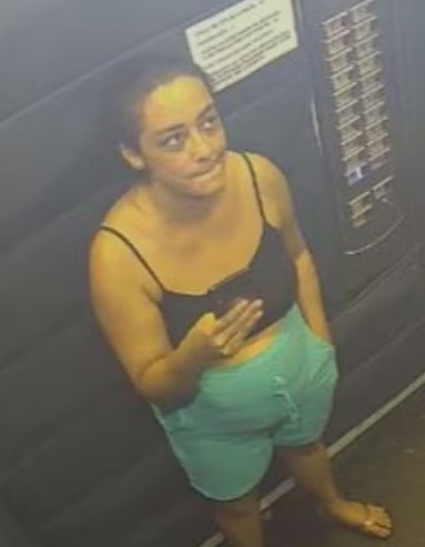 Daiane no momento em que descia - Foto: Arquivo pessoal