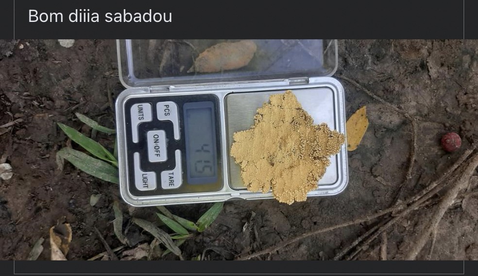 Publicação mostra ouro extraído por garimpeiros no Rio Madeira ao ser pesado. — Foto: Reprodução/Redes Sociais