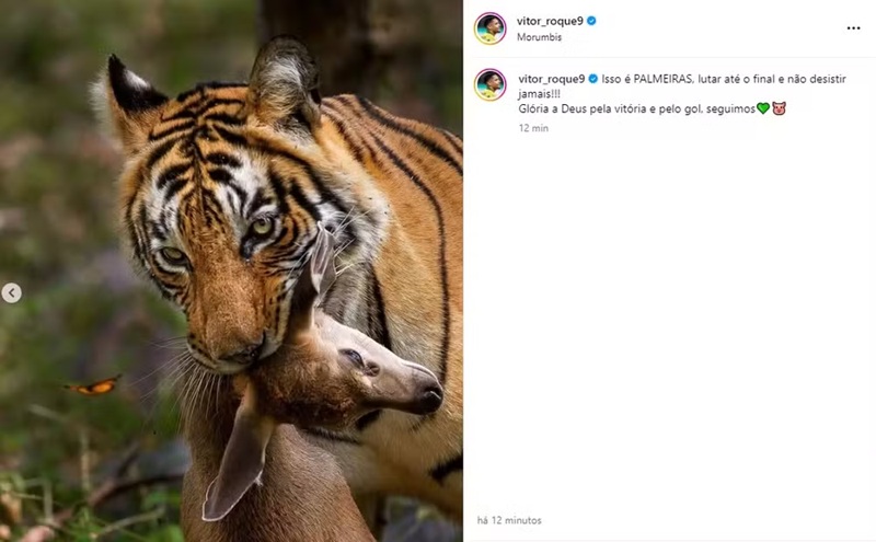 Post homofóbico feito por Vitor Roque em provocação ao time do São Paulo. Foto: Instagram Vitor Roque.