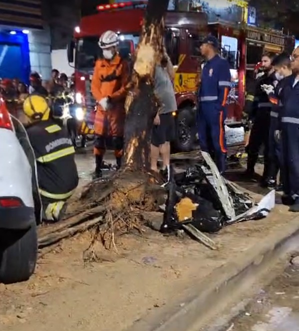 Árvore na qual o carro bateu - Foto: Divulgação