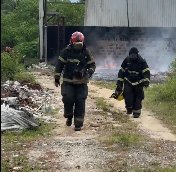 Bombeiros atuam para apagar o fogo  - Foto: Portal do Holanda