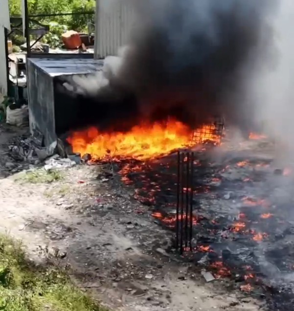 Fogo atingiu parte de área de mata - Foto: Portal do Holanda