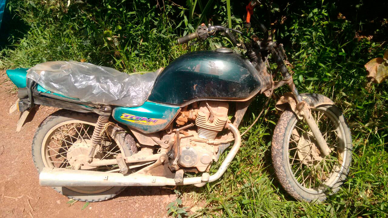 Foto: Portal do Holanda