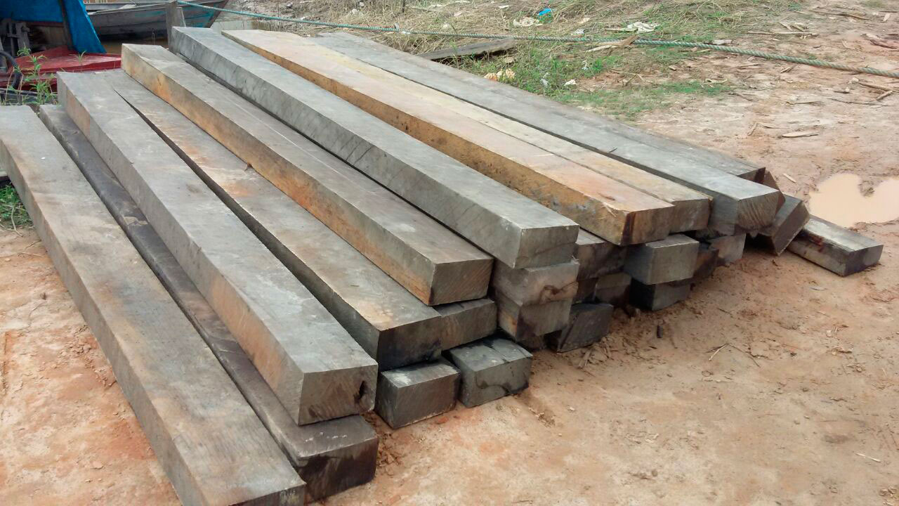 Madeira foi apreendida na orla do município durante a operação (Foto: PMAM)