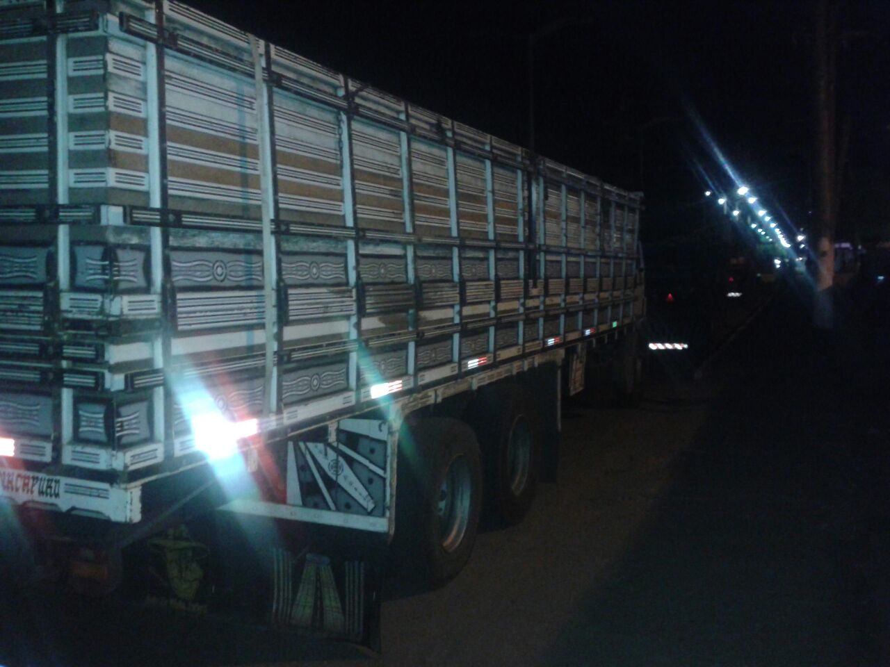 Policiais do Batalhão Ambiental intensificaram as fiscalizações nas estradas (Foto: PMAM)