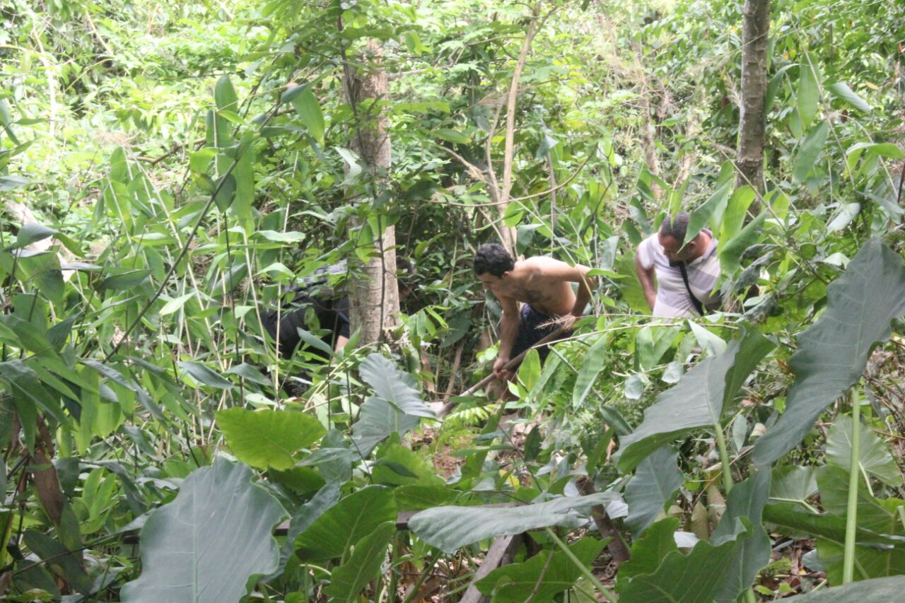 Foto: Pedro Braga Jr./ Portal do Holanda