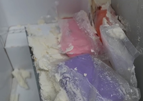 Mega Apreensão em Manaus: Polícia Encontra R$ 1 Milhão em Skunk Escondido em Freezer