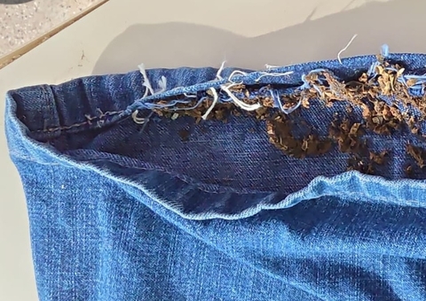 Irmãos são presos em flagrante ao tentar entrar com drogas em delegacia de Novo Airão, Amazonas