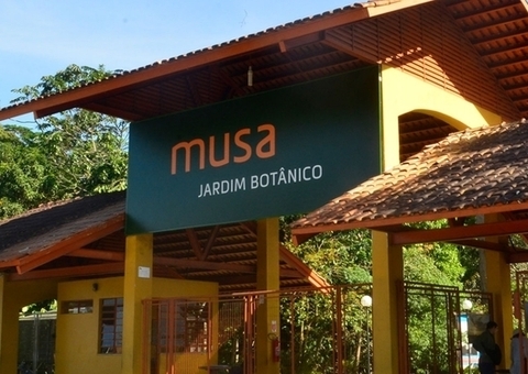 Musa, em Manaus, Abre Vagas de Estágio na Casa dos Aracnídeos