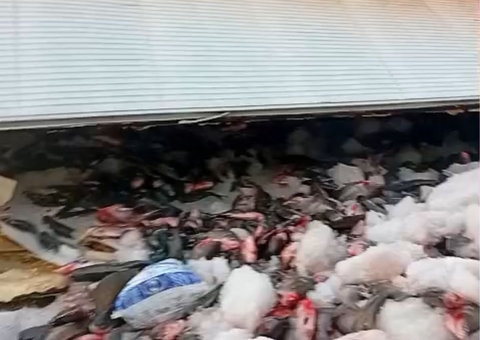 Carga de Tambaqui Tomba na BR-319, Mobilizando Autoridades no Amazonas