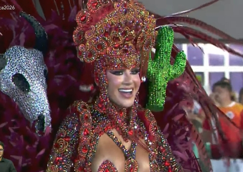 A Grande Família Desfila com Enredo sobre Cordel e Tradição Nordestina em Manaus