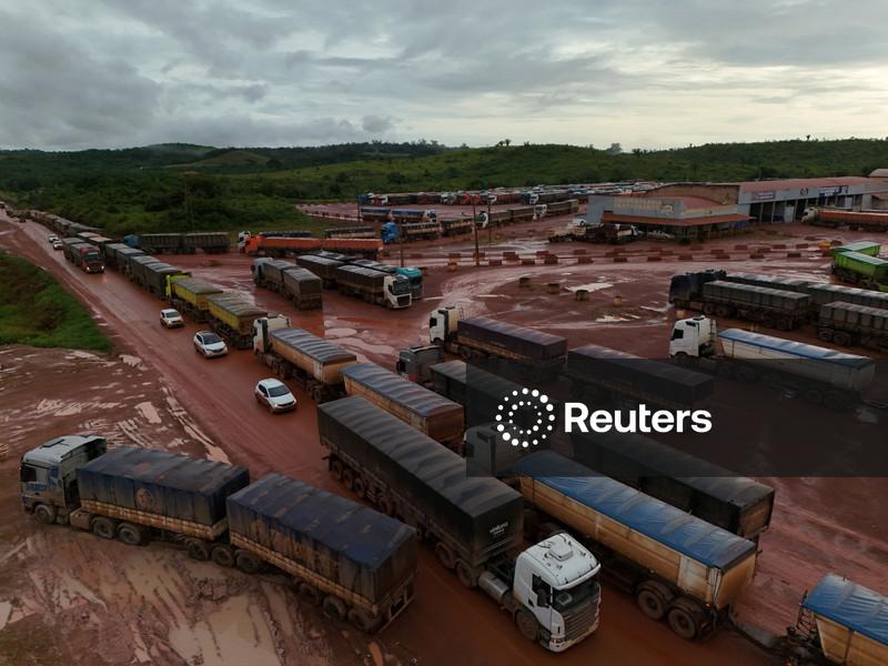 Colheita de soja do Brasil se aproxima de 40% da área, diz Pátria AgroNegócios