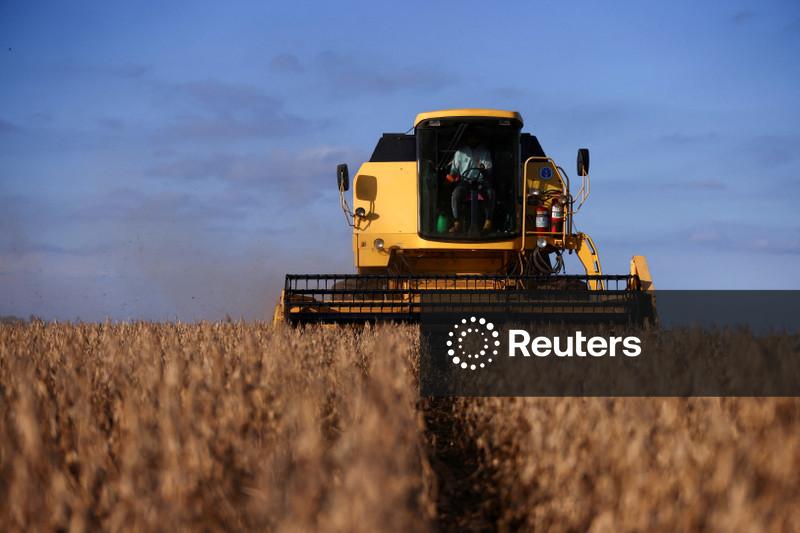 Safras & Mercado reduz previsão para colheita de soja do Brasil com corte no RS