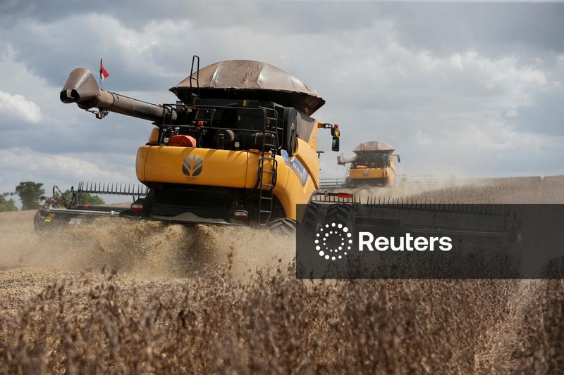 Equação para Brasil vender mais soja à China, apesar dos EUA, envolve Argentina, diz Hedgepoint