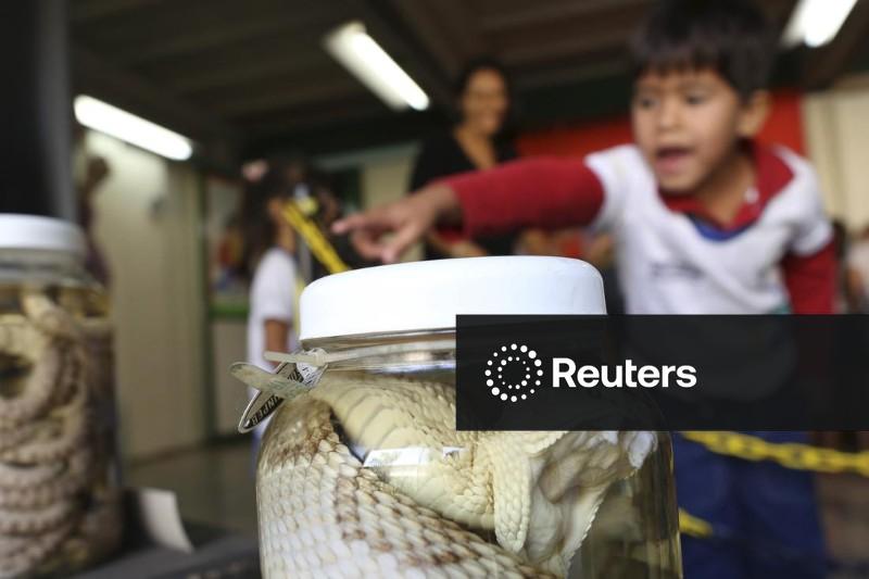 IPCA-15 sobe 0,84% em fevereiro, diz IBGE