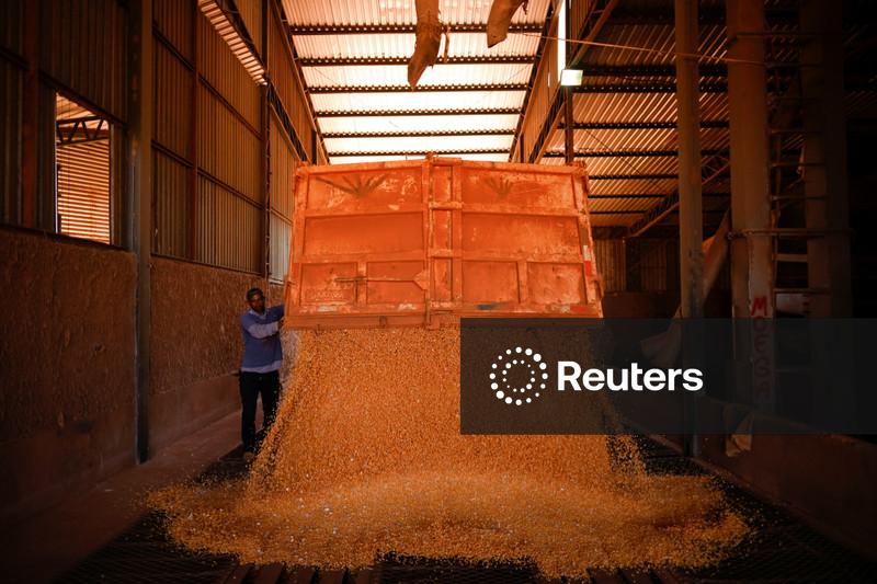 Soja recua com realização de lucros após máxima 20 meses em Chicago