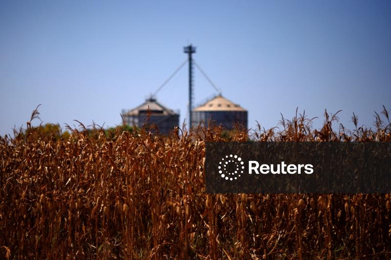 China tem meta de aumentar produção de grãos a 725 mi t até 2030