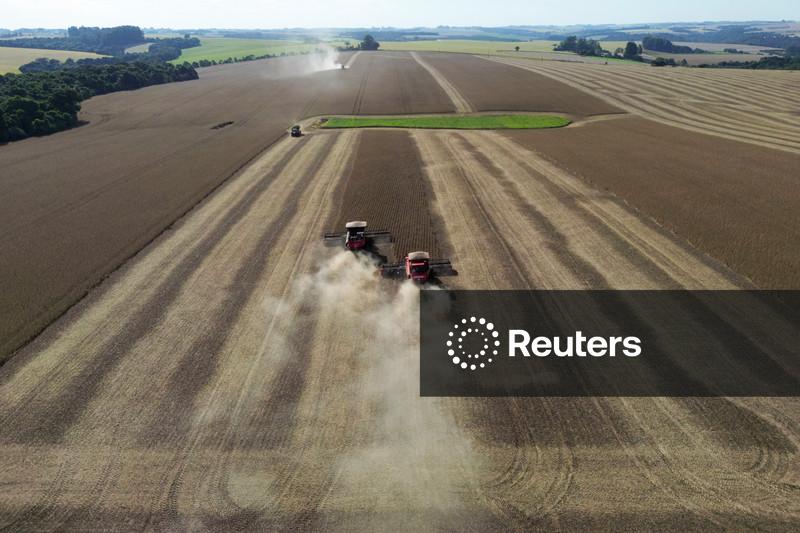 S&P Global eleva previsão de área plantada com soja e milho nos EUA em 2026