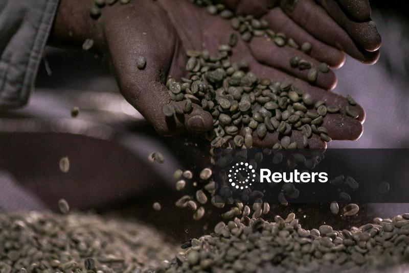 Agricultor brasileiro busca quase US$20 mil por saca de raro café eugenioides