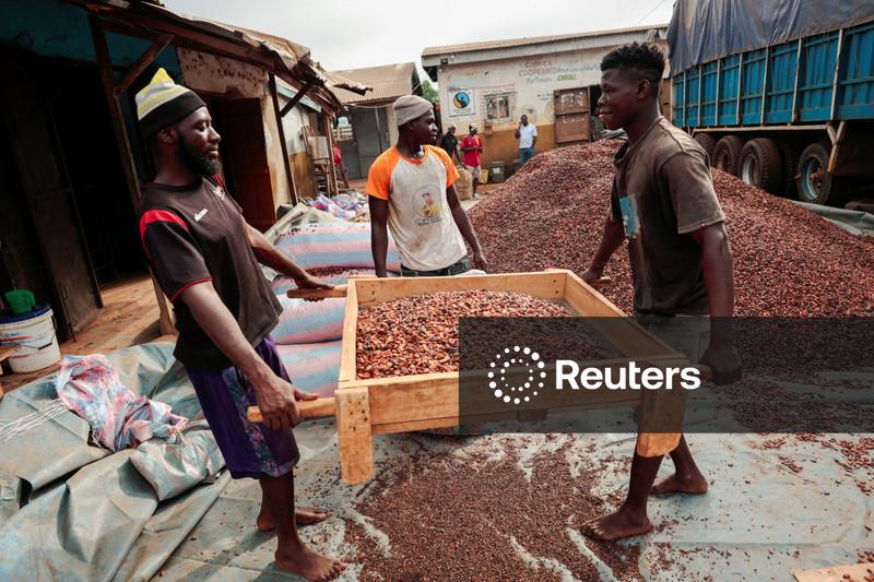 Preços do cacau caem após ganhos recentes, café sobe