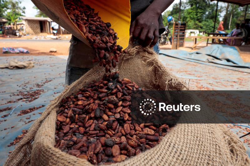 Cacau sobe e termina o mês com ganhos de dois dígitos; açúcar bruto cai