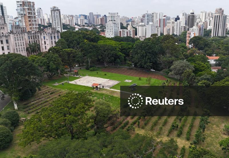 Maior cafezal urbano do mundo recebe novos pés de café no Brasil