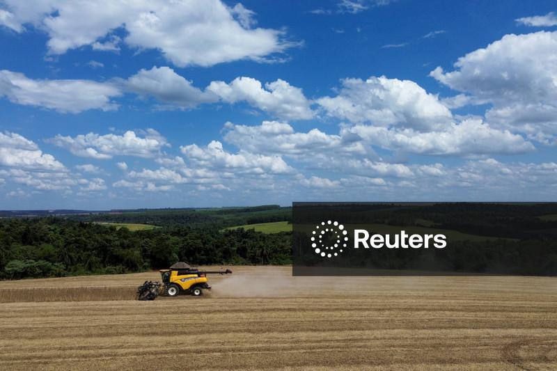 Soja recupera terreno em Chicago com Trump indicando reunião com Xi