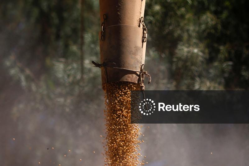 Conflito no Irã ameaça exportação de grãos e suprimento de fertilizantes do Brasil