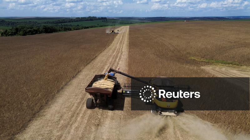 Abiove eleva previsão de safra e processamento de soja do Brasil em 2026