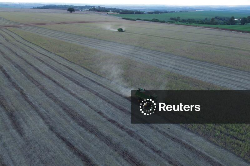 Anec estima exportação de soja do Brasil em 15,86 mi t em março; farelo em 2,24 mi t